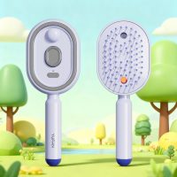 Electric Steam Hair Brush With Mist