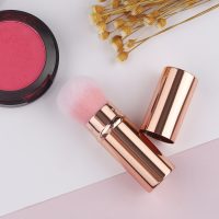 Portable Makeup Brush Telescopic Brush