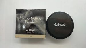 Setting Powder Natural Light